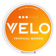 Velo Tropical Mango 10Mg 10X14G dimarkcash&carry