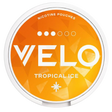 Velo Tropical Ice 10Mg 10X14G dimarkcash&carry